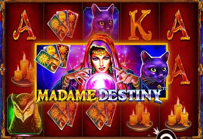 Don't miss Latest Roll Casino Free Spins Code 2025.