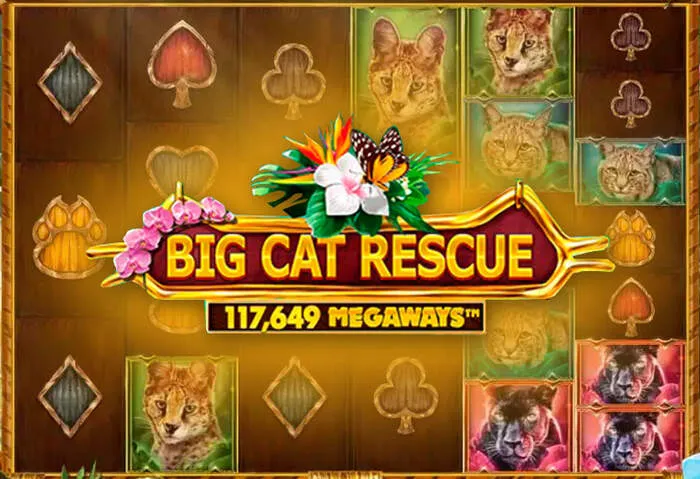 Ottieni bonus Come depositare su Roll Casino per bonus